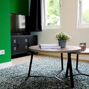 https://eco-friendly-60m2-apartment-with-20m2-private-terrace.eindhoven-hotels.net